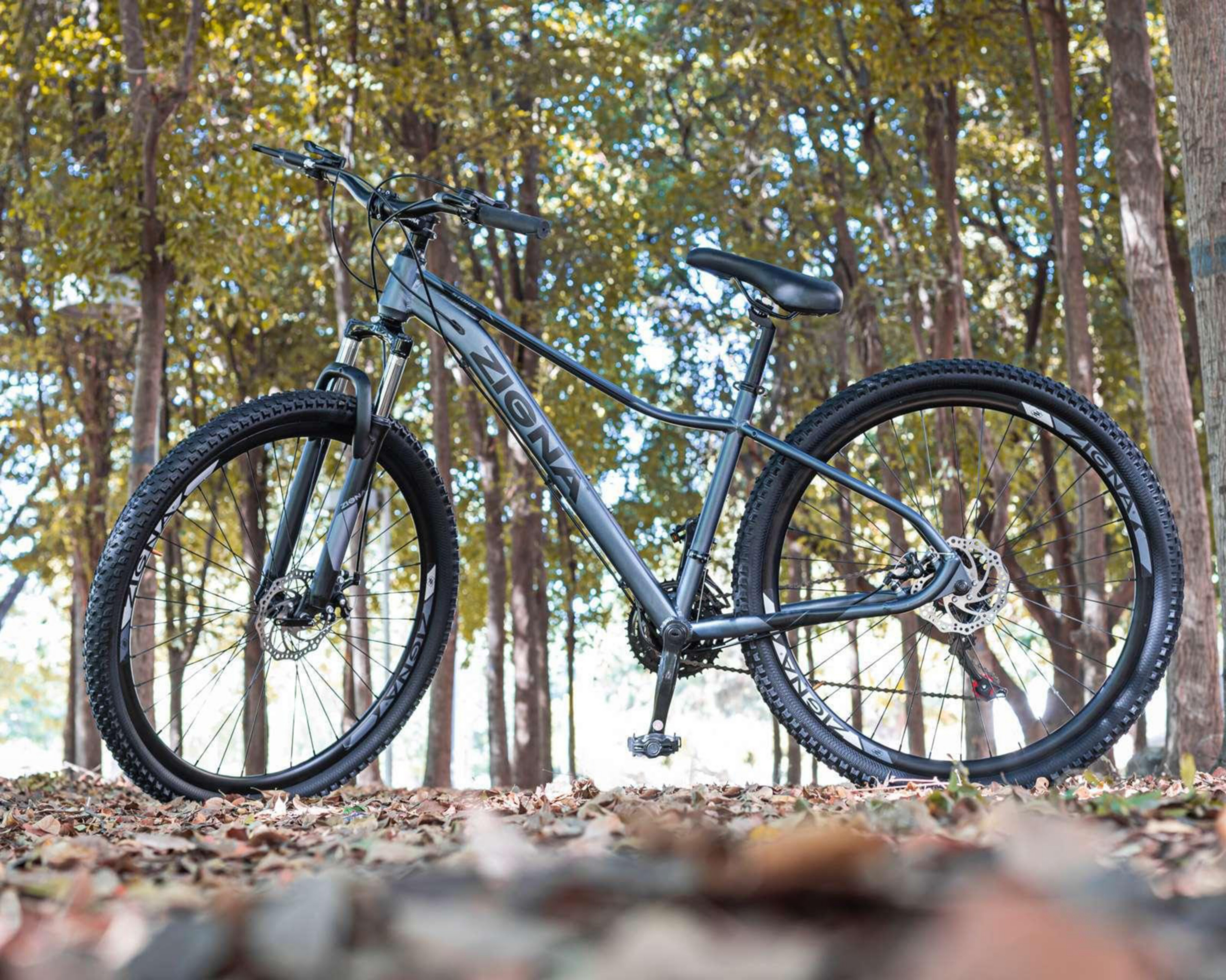 Bicicleta De Montana Zigna Storm R29 Gris Coppel