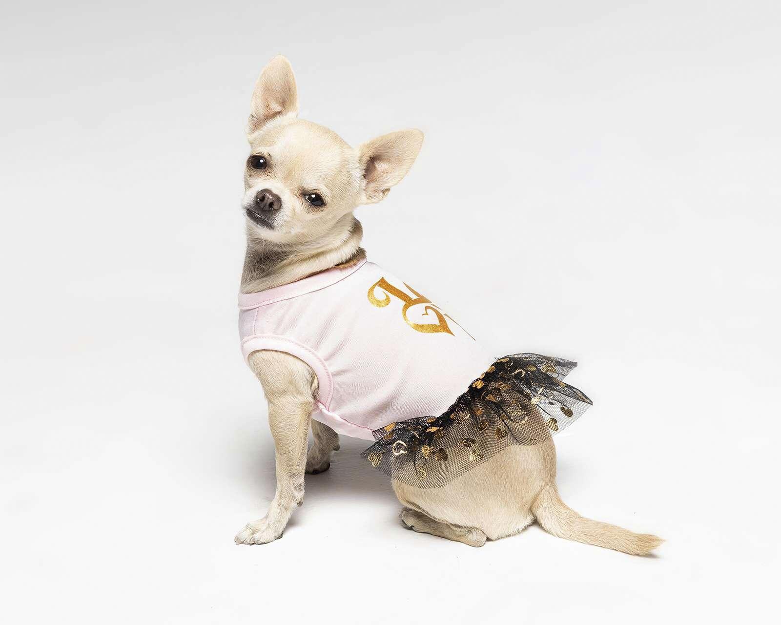 Vestido De Perro Vestido De Perro