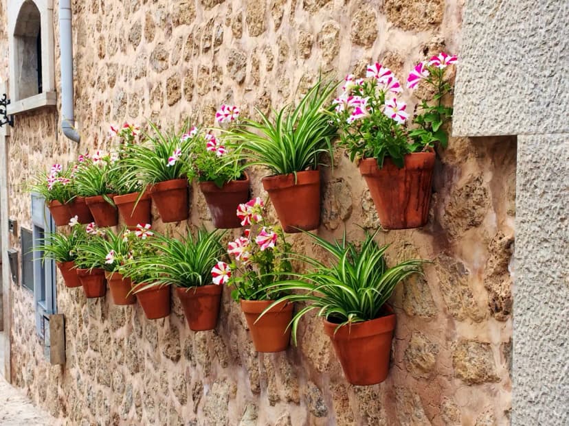 Macetas en la pared sin daños ni complicaciones